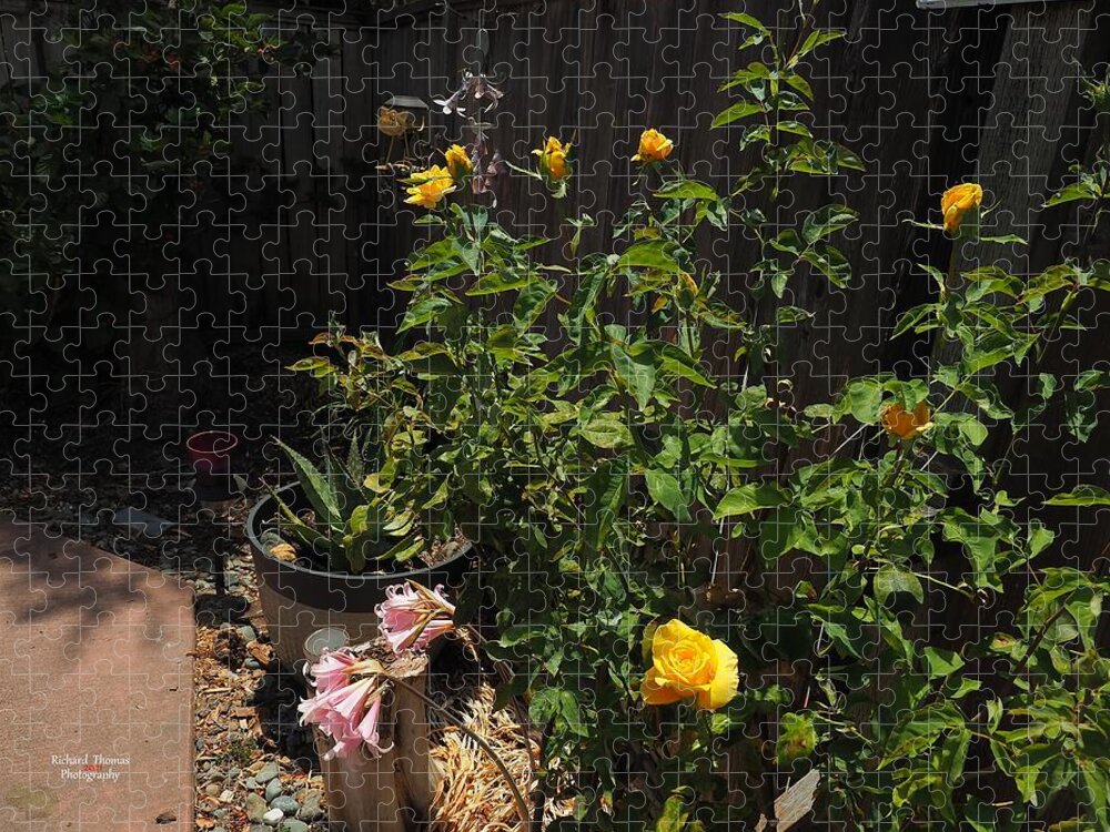 Botanical Jigsaw Puzzle featuring the photograph My Backyard #9 by Richard Thomas
