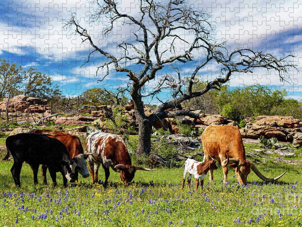 African Breed Jigsaw Puzzle featuring the photograph Texas Hill Country #9 by Raul Rodriguez