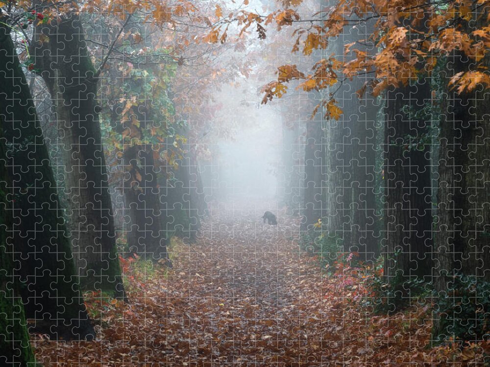 Dog Jigsaw Puzzle featuring the photograph A dog in the forest by Anges Van der Logt