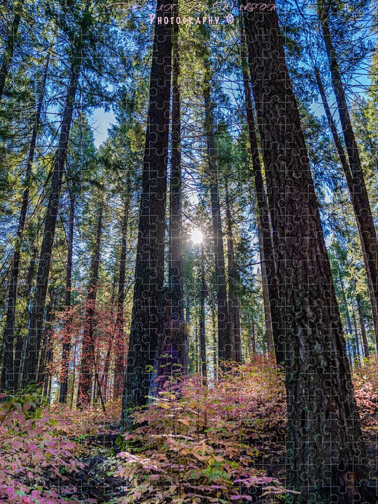 Forest Jigsaw Puzzle featuring the photograph A Forest of Pink by Devin Wilson