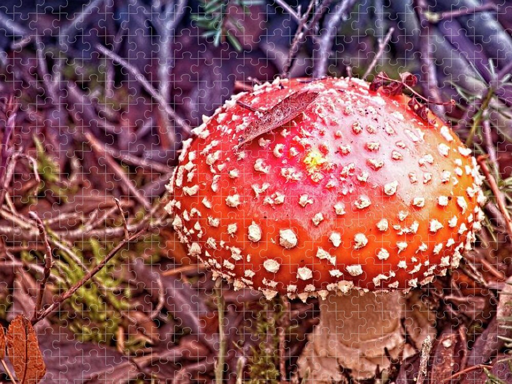 Amanita Muscaria Jigsaw Puzzle featuring the photograph A Fungus Among Us by David Desautel