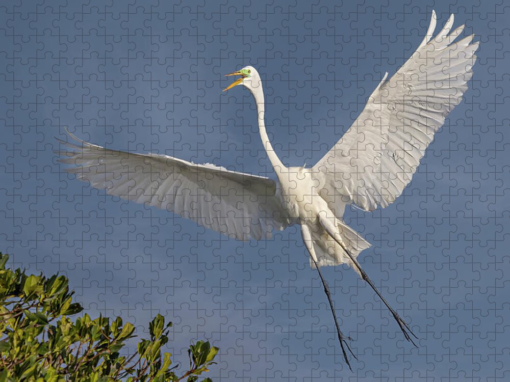 Egret Jigsaw Puzzle featuring the photograph A Great Egret by Susan Candelario