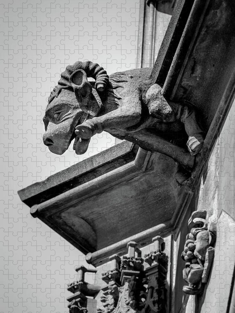 Architecture Jigsaw Puzzle featuring the photograph A Grotesque in Strasbourg - 2 by W Chris Fooshee