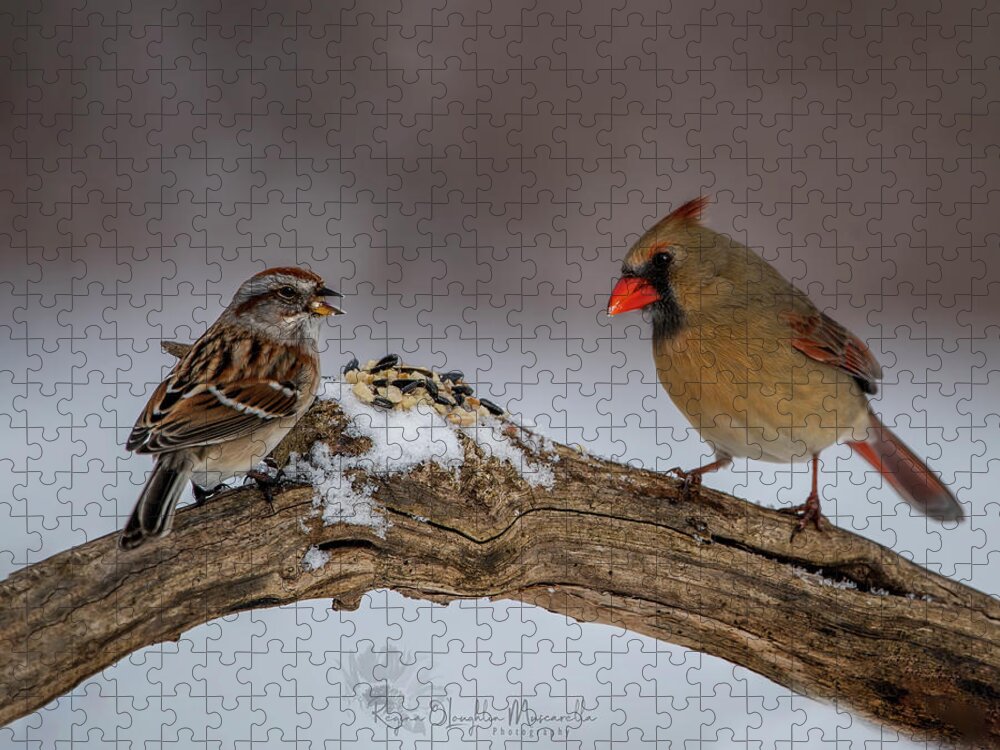 Sparrow Jigsaw Puzzle featuring the photograph A Lunch Date by Regina Muscarella
