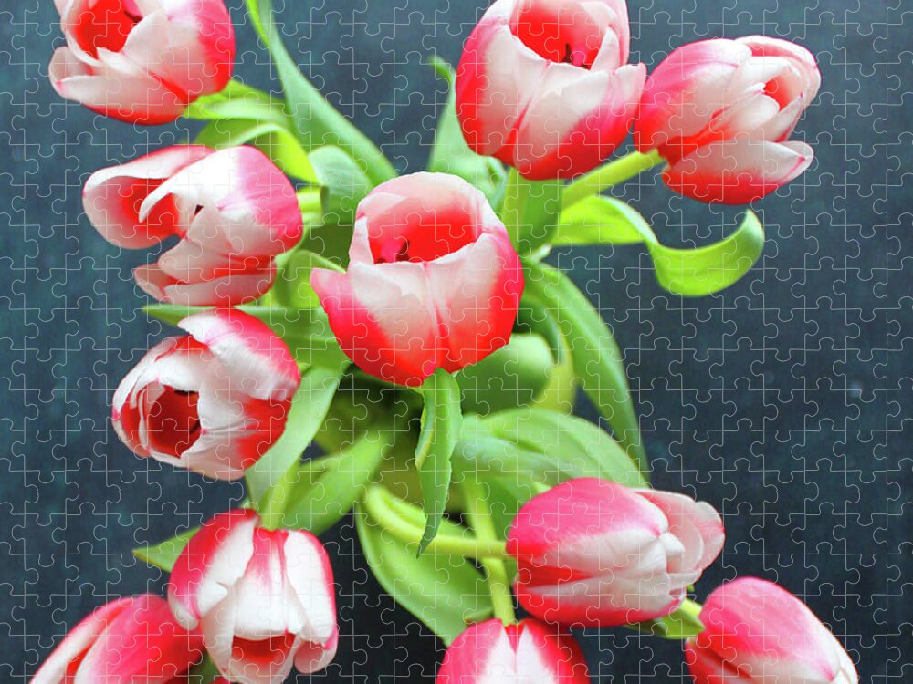 Tulips Jigsaw Puzzle featuring the photograph A Missing Tullip by Rita Brown
