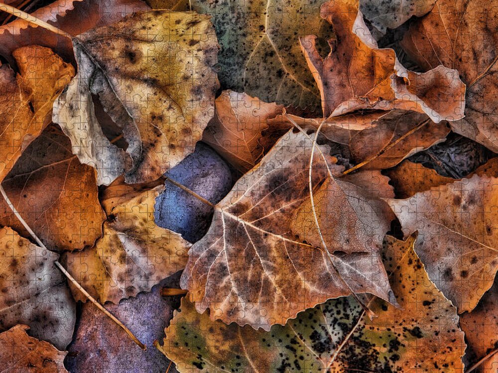 Autumn Jigsaw Puzzle featuring the photograph A Mix of Autumn by Steve Sullivan