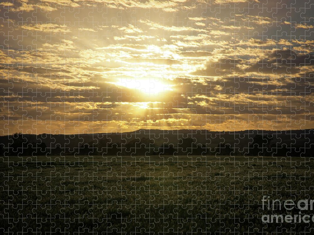 Dawn Jigsaw Puzzle featuring the photograph A New Day Dawning by Linda Lees