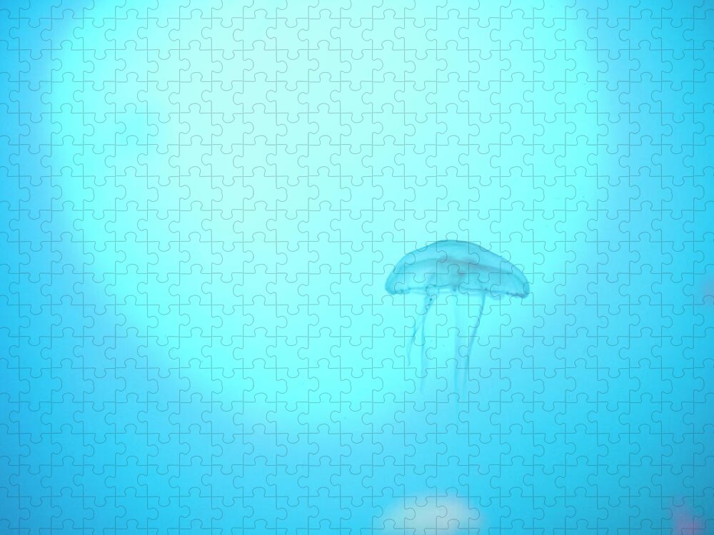 Jellyfish Jigsaw Puzzle featuring the photograph A peaceful floating jellyfish by Maria Dimitrova
