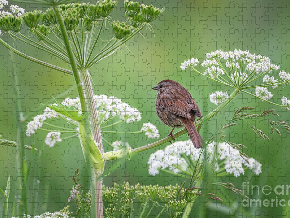 Bird Jigsaw Puzzle featuring the photograph A Quiet Moment by Craig Leaper