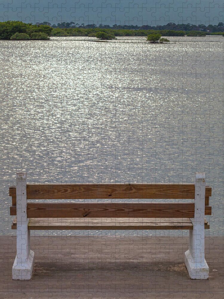 Water Jigsaw Puzzle featuring the photograph A Quiet View to a Florida Morning by W Chris Fooshee
