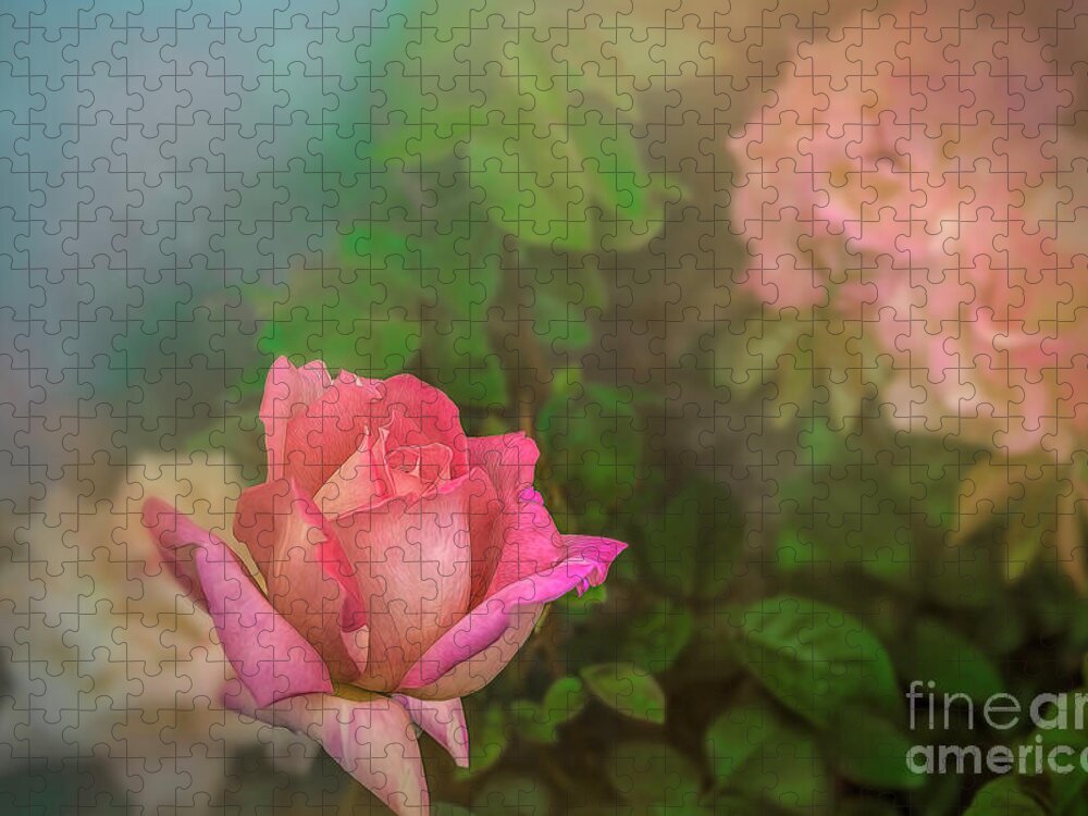 Rose Jigsaw Puzzle featuring the photograph A Rose for Mother by Shelia Hunt