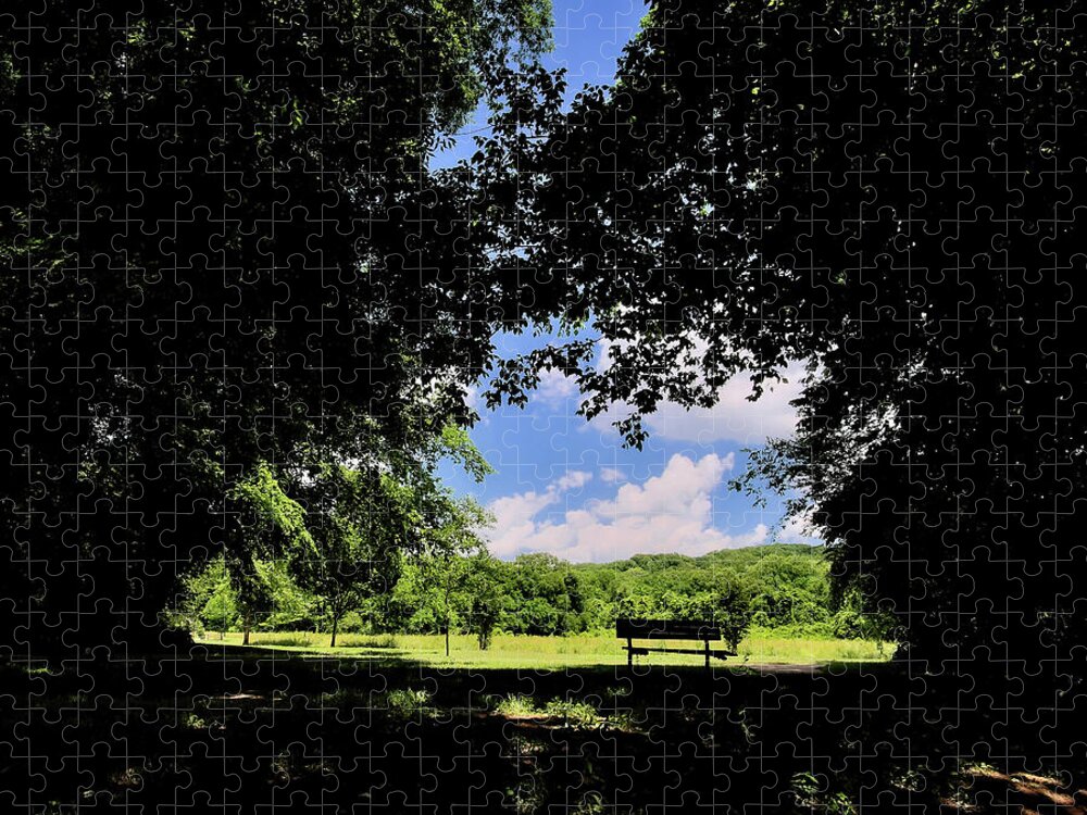 Bench Jigsaw Puzzle featuring the photograph A Shady Resting Spot by George Taylor