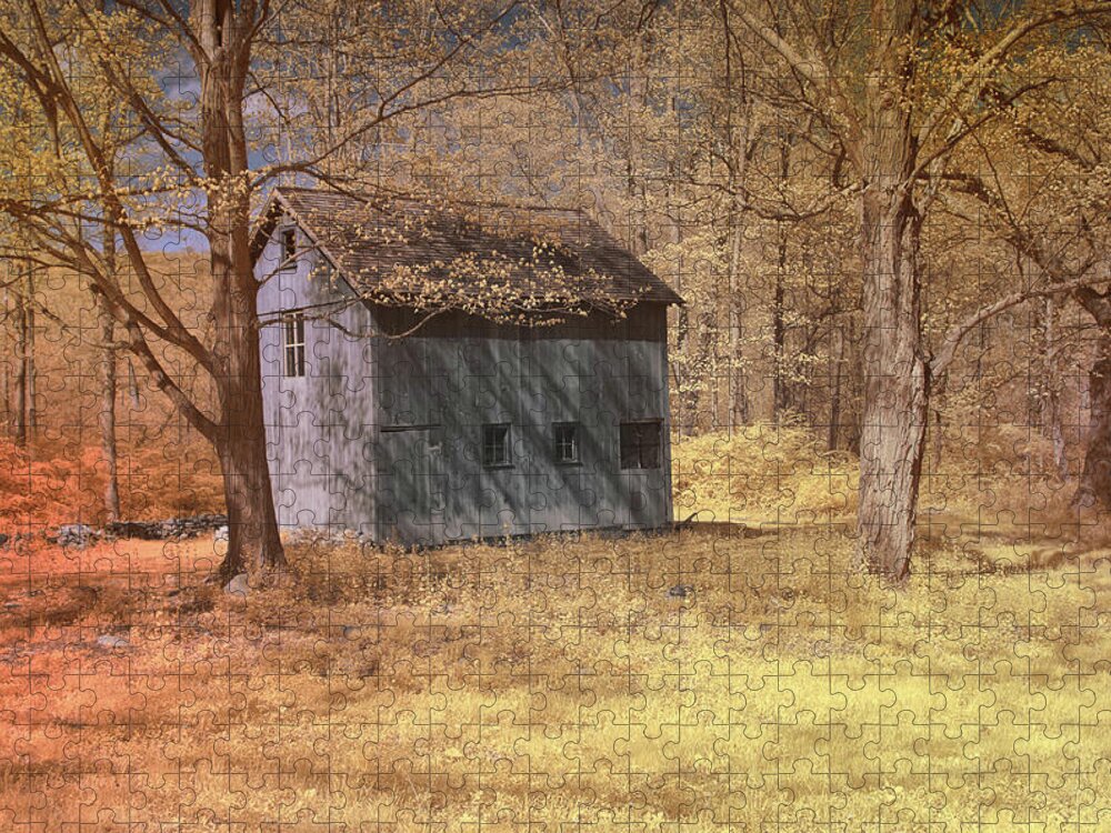 Woodland Jigsaw Puzzle featuring the photograph A shed in the woods by Alan Goldberg