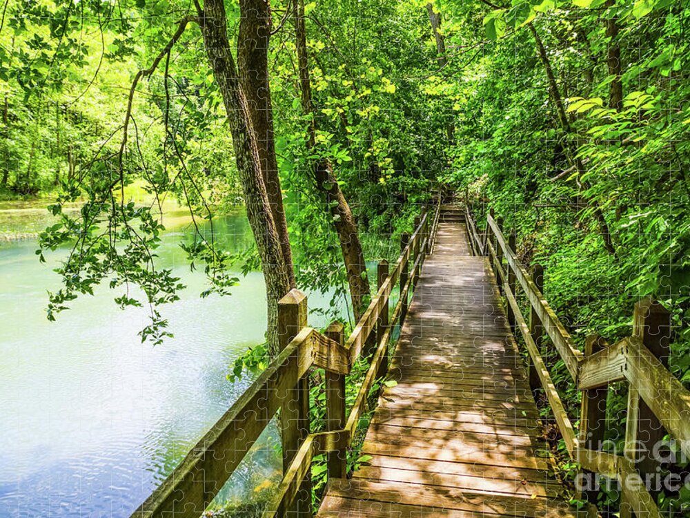 Ozarks Jigsaw Puzzle featuring the photograph A Tranquil Hike by Jennifer White