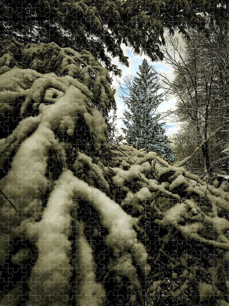 Snow Jigsaw Puzzle featuring the photograph A tree through trees by Jim Feldman