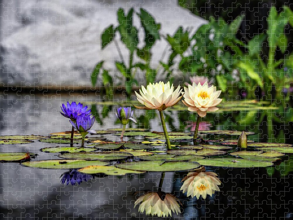 Flower Jigsaw Puzzle featuring the photograph Above and Below by Laura Roberts