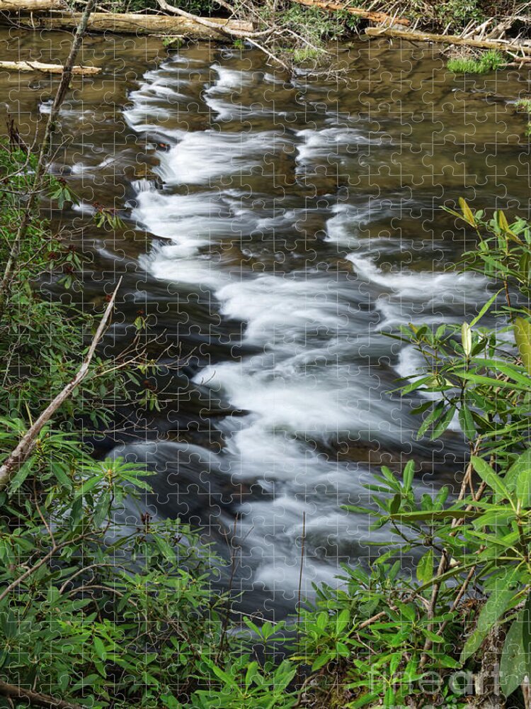 Abrams Falls Jigsaw Puzzle featuring the photograph Abrams Creek 2 by Phil Perkins