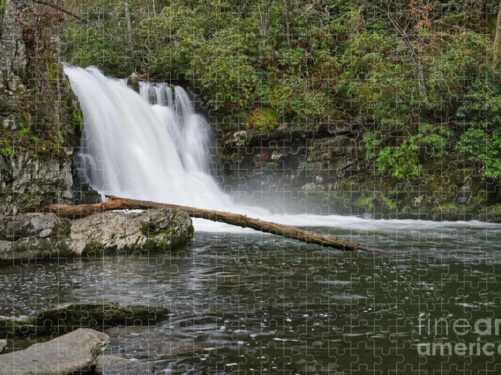 Abrams Falls Jigsaw Puzzle featuring the photograph Abrams Falls 12 by Phil Perkins