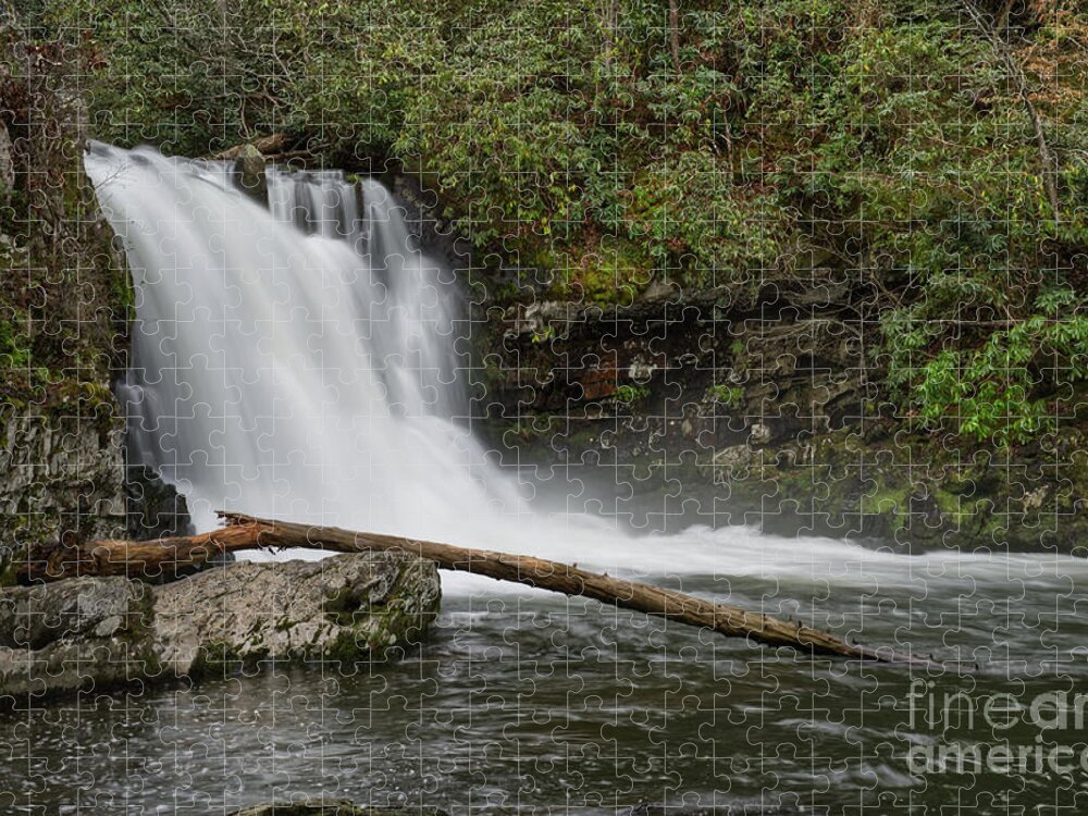 Abrams Falls Jigsaw Puzzle featuring the photograph Abrams Falls 13 by Phil Perkins
