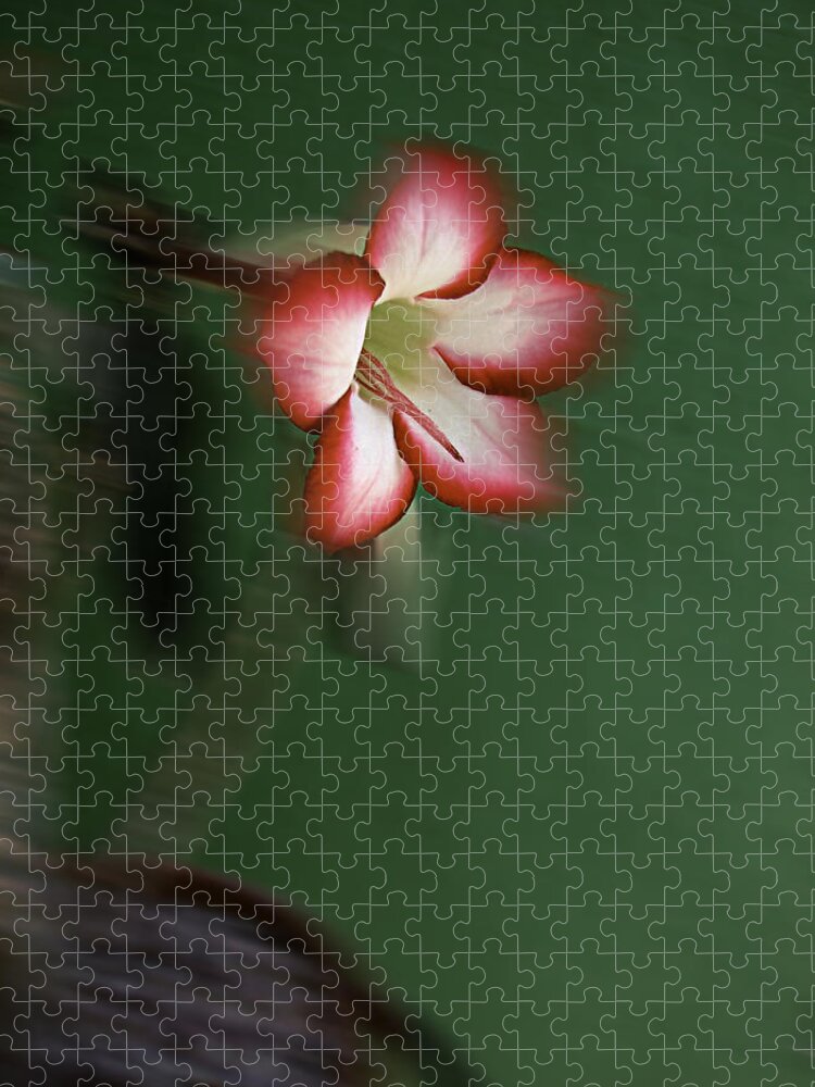  Jigsaw Puzzle featuring the digital art Abstract Floral 699 by Miss Pet Sitter