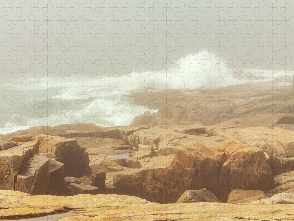 Acadia Jigsaw Puzzle featuring the photograph Acadia National Park Fog by Amelia Pearn
