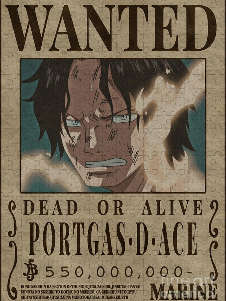 POSTER ONE PIECE - WANTED WHITEBEARD (52X38)