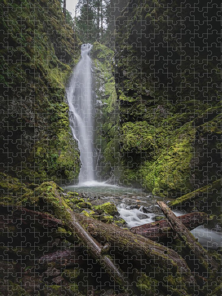 Landscape Jigsaw Puzzle featuring the photograph Acquiescence 1 by Ryan Weddle