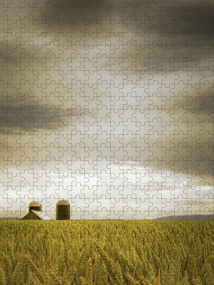 Agricultural Field Jigsaw Puzzle featuring the photograph Across the Wheat Field by Don Schwartz