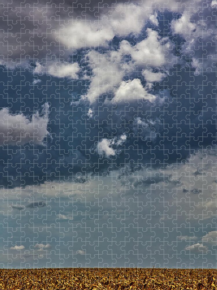 Sky Jigsaw Puzzle featuring the photograph Adam's Field by Rene Vasquez