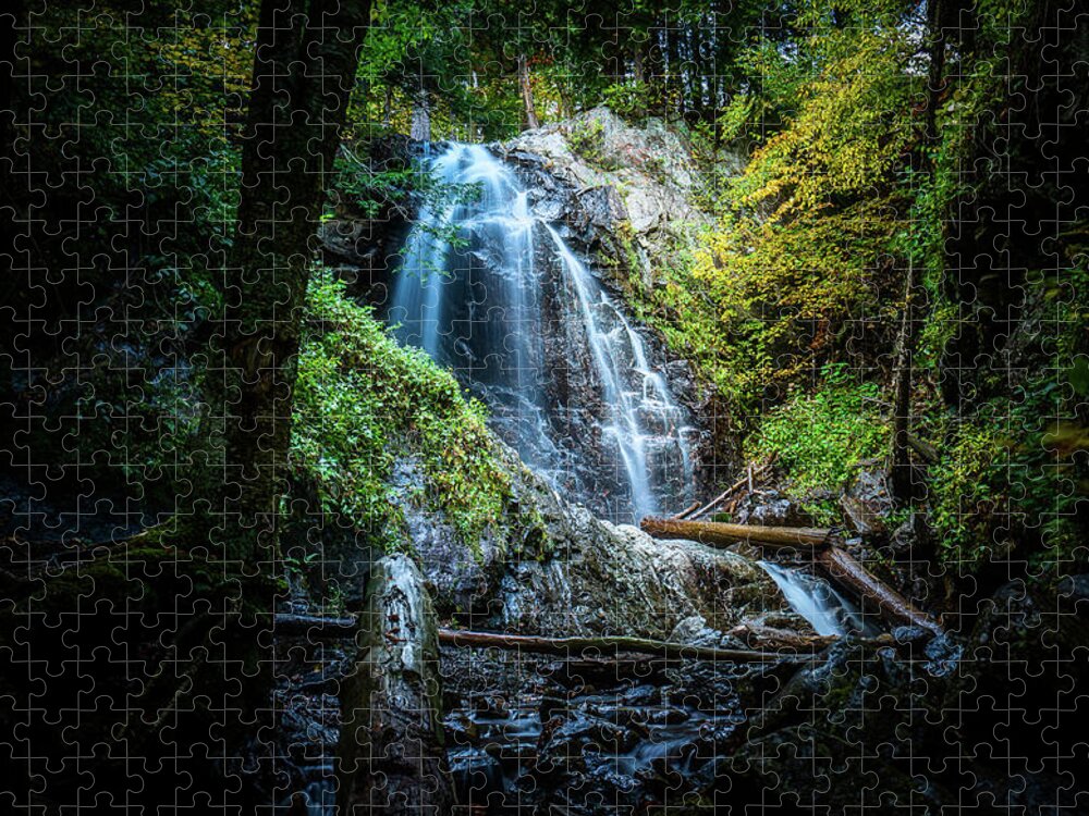Fall Jigsaw Puzzle featuring the photograph Adirondacks Autumn at Stag Brook Falls 2 by Ron Long Ltd Photography