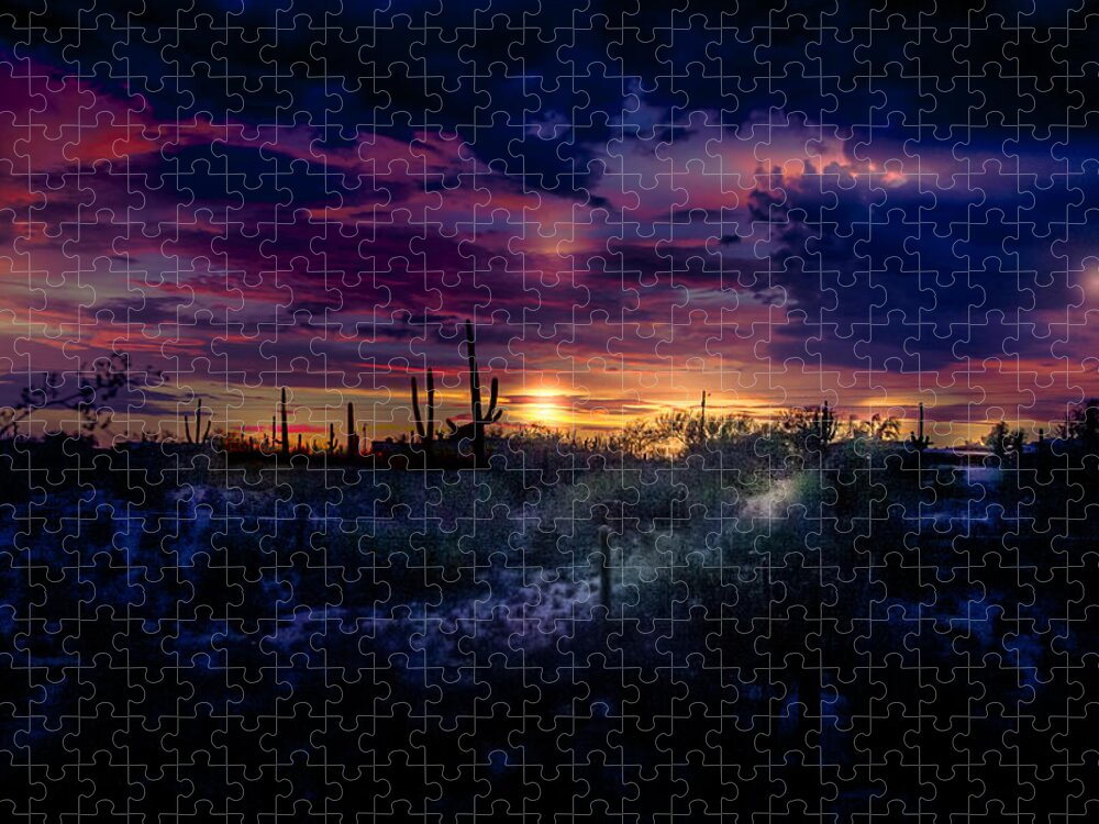 Tucson Jigsaw Puzzle featuring the photograph After the monsoon by Micah Offman
