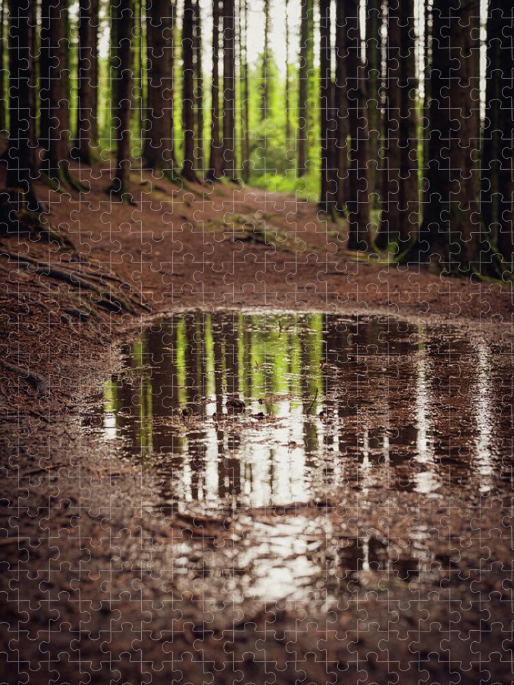 Forest Jigsaw Puzzle featuring the photograph After the rains came by Gavin Lewis