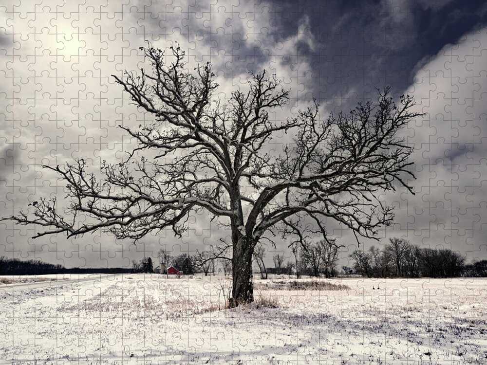 Geese Jigsaw Puzzle featuring the photograph After the Snow - Majestic snow-frosted oak tree in Wisconsin field with farm in background by Peter Herman