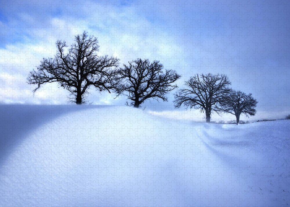Snow Jigsaw Puzzle featuring the photograph After the Storm - Oak trees with snowdrift after a snowstorm by Peter Herman