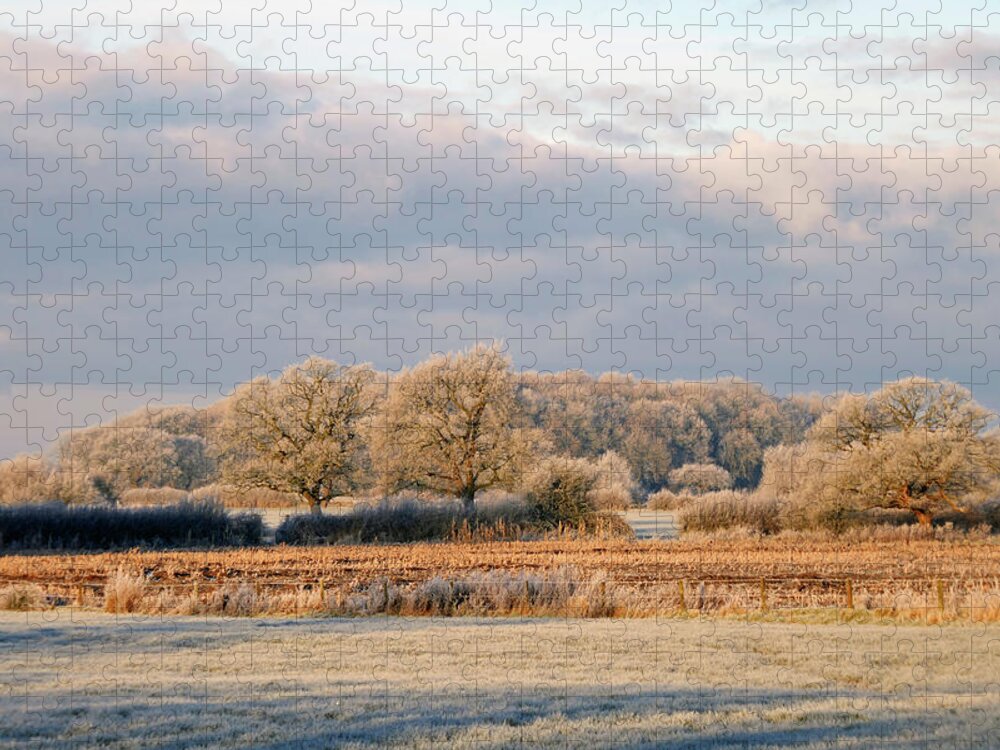 England Jigsaw Puzzle featuring the photograph Aiden by Ian Hutson