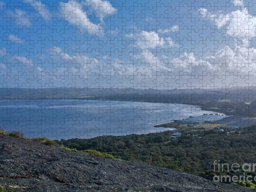 Albany Jigsaw Puzzle featuring the photograph Albany from Mt. Melville, Western Australia by Elaine Teague