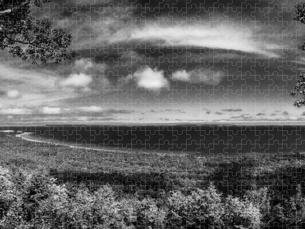 Alligator Jigsaw Puzzle featuring the photograph Alligator Hill Overlook by Owen Weber