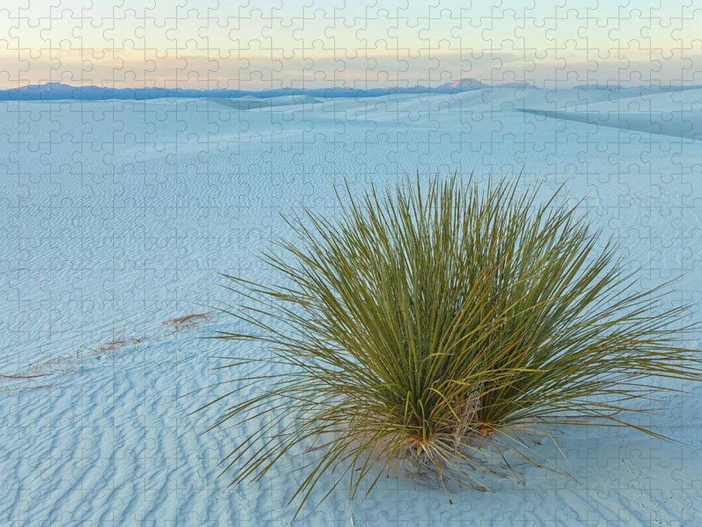 Sand Dunes Jigsaw Puzzle featuring the photograph Alone In Desert by Jonathan Nguyen