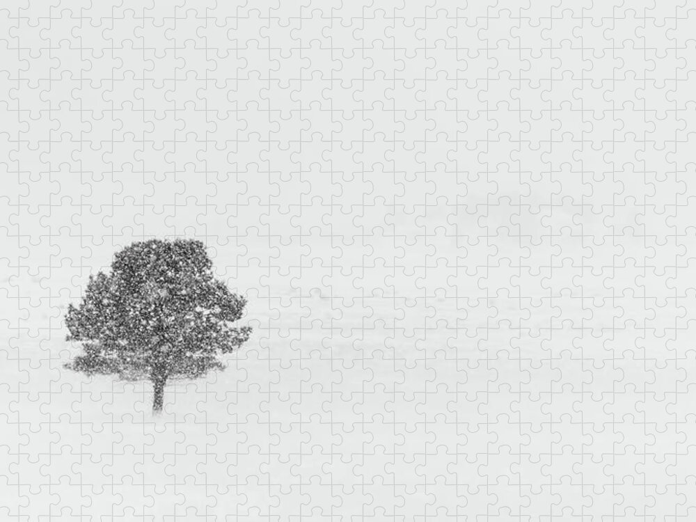 Tree Jigsaw Puzzle featuring the photograph Alone in the Snow by Kevin Schwalbe
