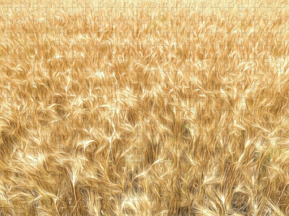 Wheat Jigsaw Puzzle featuring the digital art Amber Waves by Brad Barton
