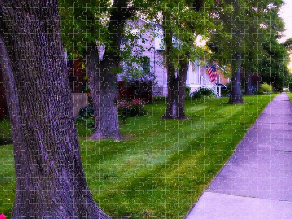 Neighborhood Jigsaw Puzzle featuring the photograph American Flag Through the Trees - Square by Frank J Casella