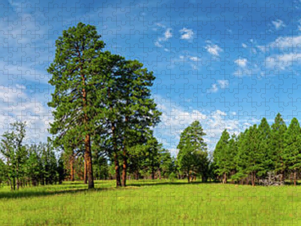 Arizona Jigsaw Puzzle featuring the photograph Anasazi Meadow on Campbell Mesa by Jeff Goulden