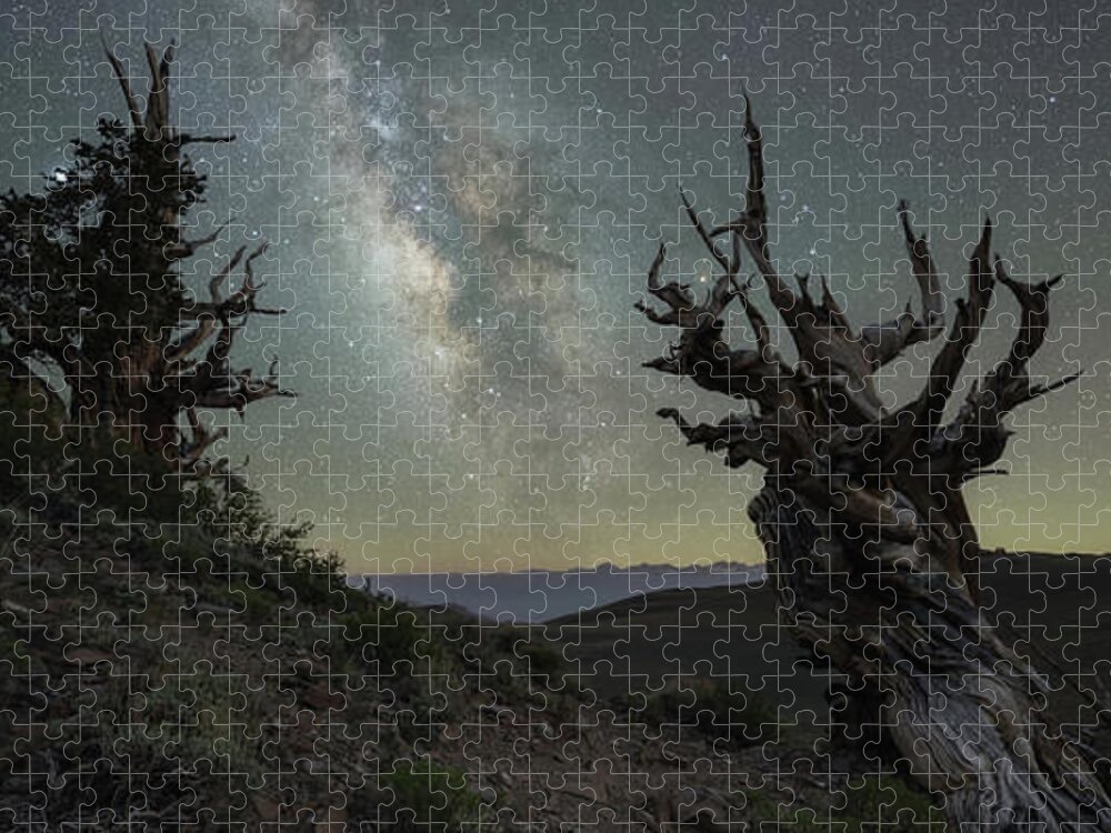 Outdoors Jigsaw Puzzle featuring the photograph Ancient Bristlecone Pine Forest Milky Way Pano by Michael Ver Sprill