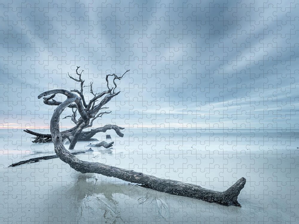 Driftwood Beach Jigsaw Puzzle featuring the photograph Ancient Driftwood by Jordan Hill