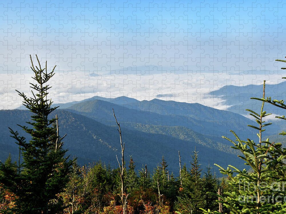 Andrews Bald Jigsaw Puzzle featuring the photograph Andrews Bald 10 by Phil Perkins