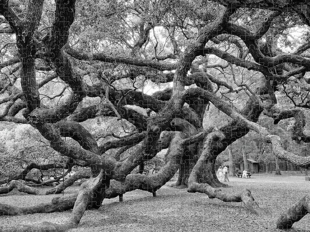 Angel Oak Tree Jigsaw Puzzle featuring the photograph Angel Oak Tree by Louis Dallara