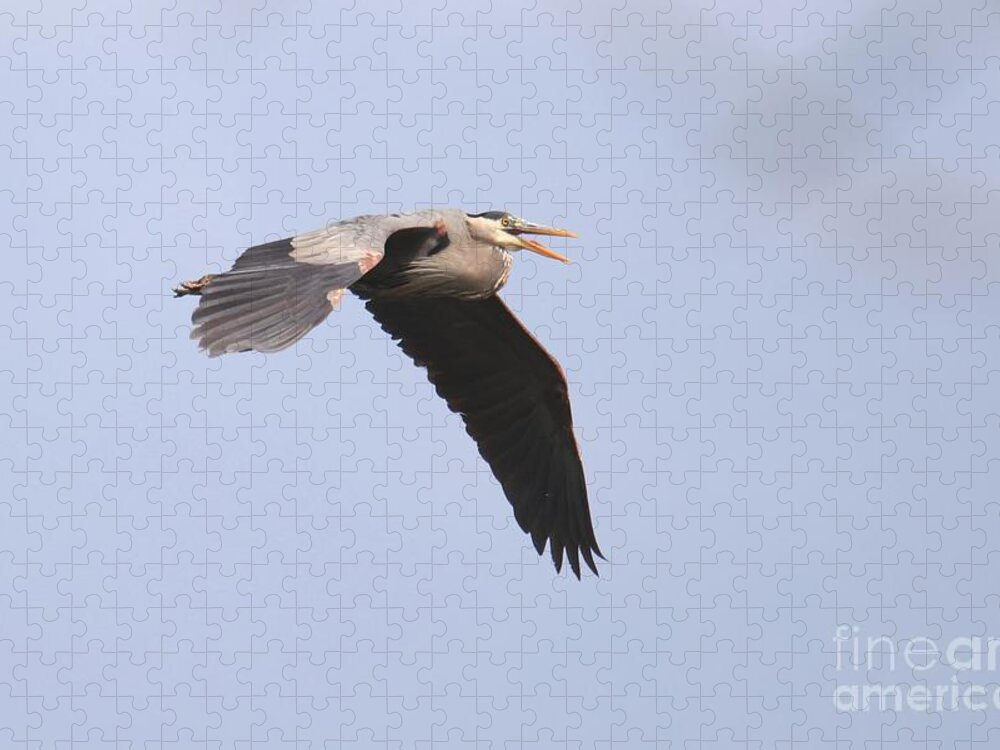 Great Blue Heron Jigsaw Puzzle featuring the photograph Angry Heron by Tony Lee