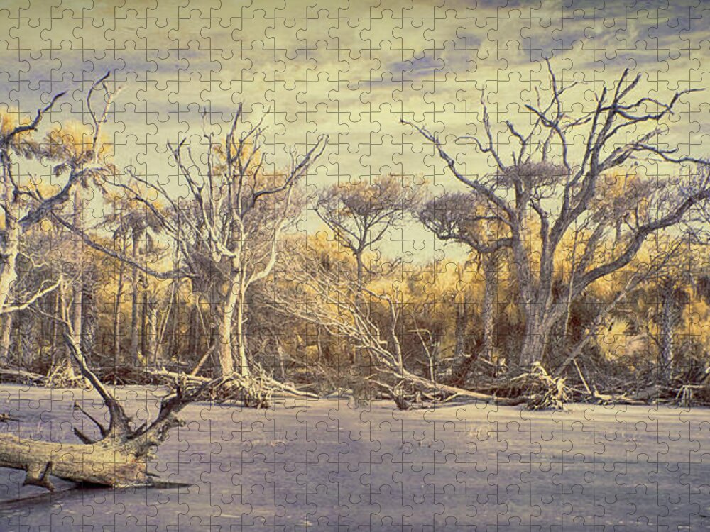 Boneyard Jigsaw Puzzle featuring the photograph Another Time in Another Place by Jim Cook