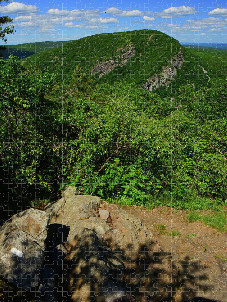Appalachian Trail Blaze And Mount Tammany Jigsaw Puzzle featuring the photograph Appalachian Trail Blaze and Mount Tammany 2 by Raymond Salani III