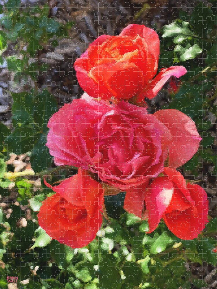 Roses Jigsaw Puzzle featuring the photograph April Blossoms by Brian Watt